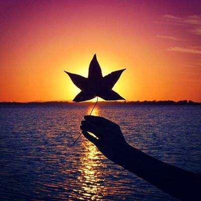 彩神lllv入口app下载