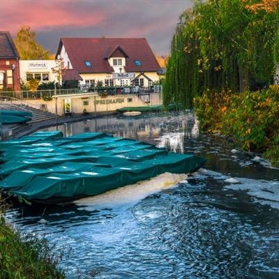 万博max体育官网